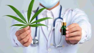 Medicamentos a base de cannabis para discutir tributação